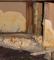 Mold in home walls