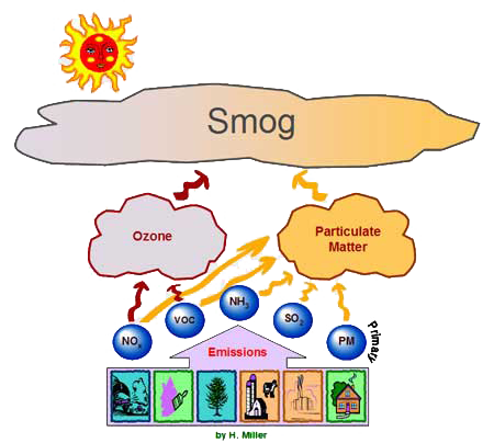 Volatile Organic Compounds