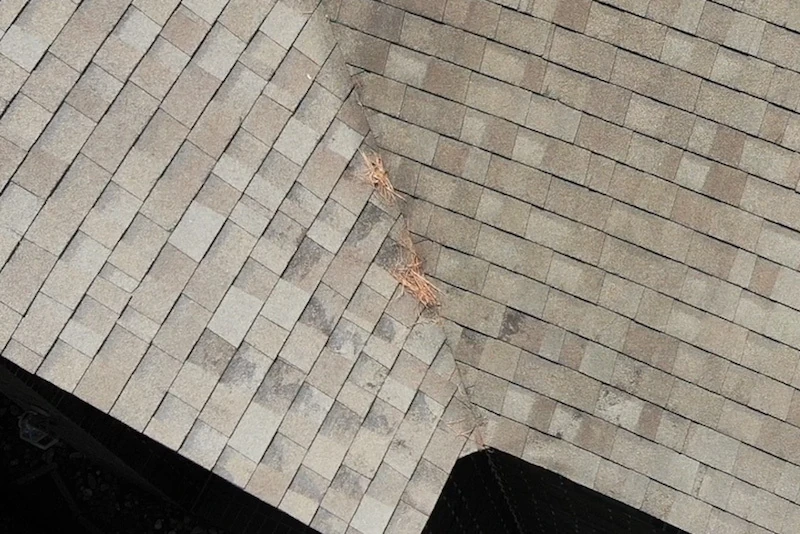 Home Inspections of Roof with Drones - Tree Damage