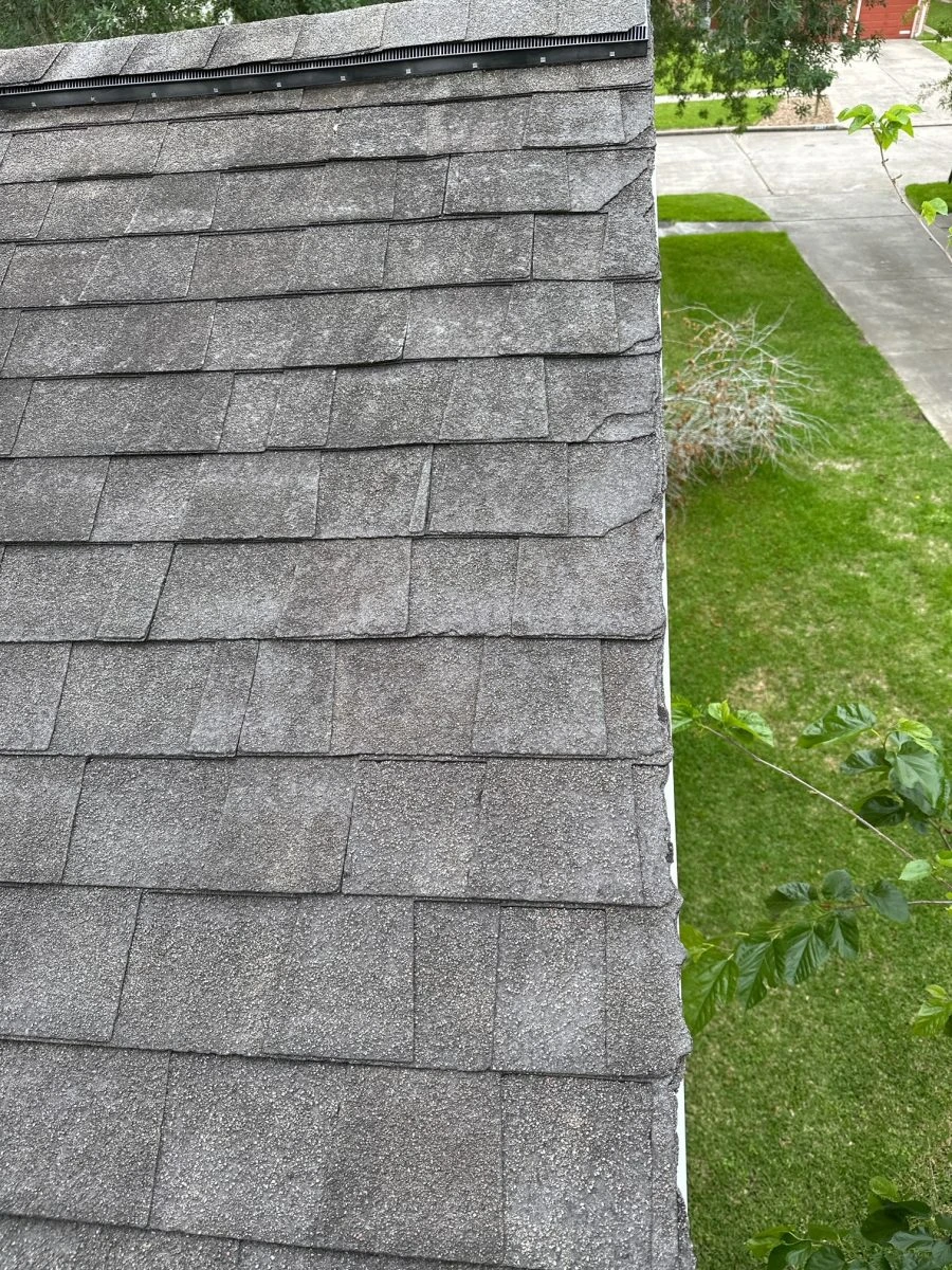 Home Damage: Shingle Damage Vegetation
