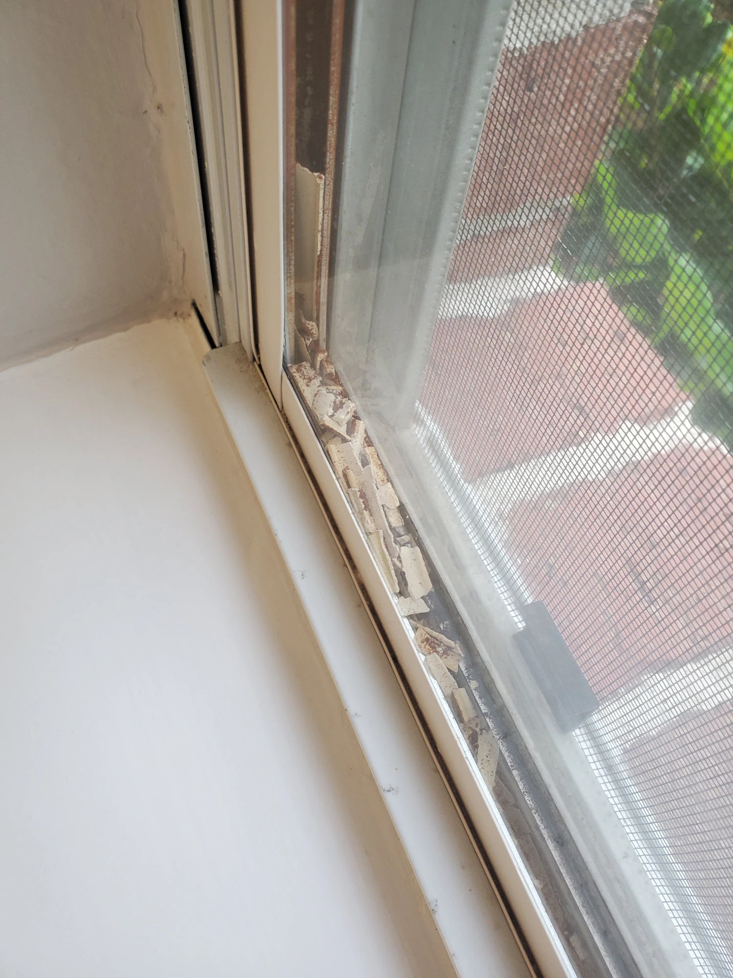 Home Damage: Deteriorated Window Seal