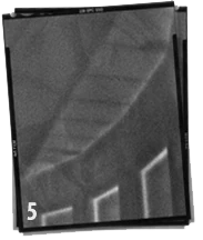 Infrared Home Inspections