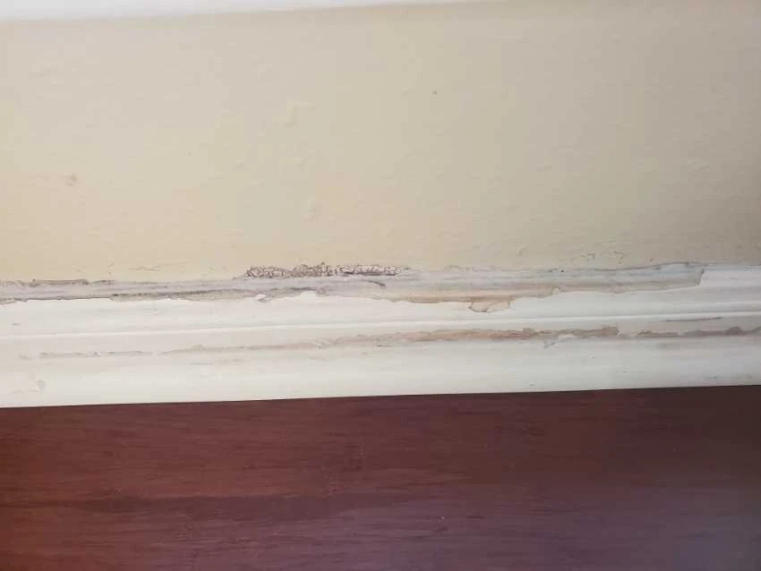 Home Damage: Visible Wall Trim Damage